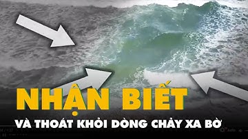 Cách nhận biết và thoát khỏi dòng chảy xa bờ để tránh đuối nước khi tắm biển