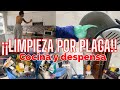 🤮¡LIMPIEZA POR PLAGA!🤮Especial cocina y despensa// ácaros en casa 😱