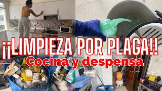 🤮¡LIMPIEZA POR PLAGA!🤮Especial cocina y despensa// ácaros en casa 😱