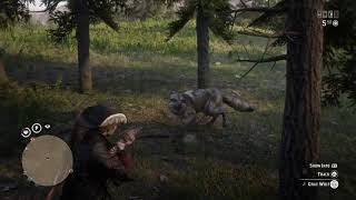 Red Dead Redemption 2 Random Wolf Attack while I was in idle!