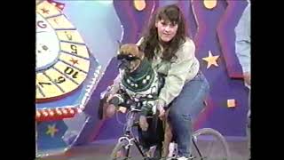 Relevez le défi - chien vélo