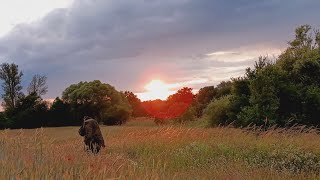 Famous 100km 24h Escape Evasion & Remembrance March 2025 Teaser Net Worth