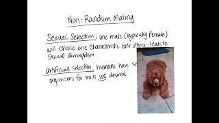 Non Random Mating
