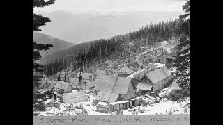 #132  Nelson's Silver King  Mine Part 1