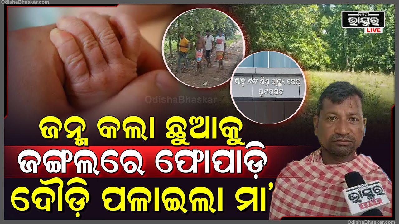 ଜନ୍ମ କଲା ଛୁଆକୁ ଜଙ୍ଗଲରେ ଫିଙ୍ଗିଦେଇ ପଳେଇଲା ମା' | ଏବେ ଜଙ୍ଗଲରେ କୁଆଁ କୁଆଁ କାନ୍ଦୁଚି ନବଜାତକ