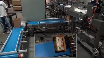 43652 BluePrint Automation (BPA) Rotary Gravity Case Packer for Bags