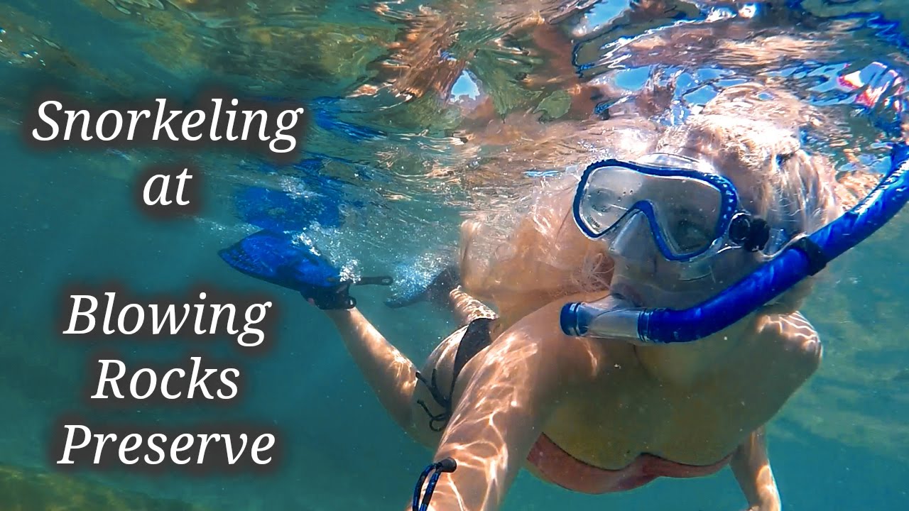 Snorkeling Blowing Rocks Preserve, Jupiter, FL YouTube