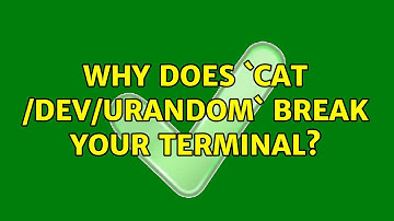 Why does `cat /dev/urandom` break your terminal? (3 Solutions!!)