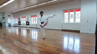 WinTaekwondo Online Training I
