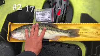 How to Won First place and Big Fish!