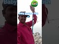 baby grouper fish 🐟#catch and release#short video 😭📸#