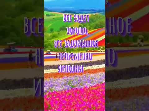 Принимай послание Вселенной .для энергообмена поставь ❤️ и подпишись ✅