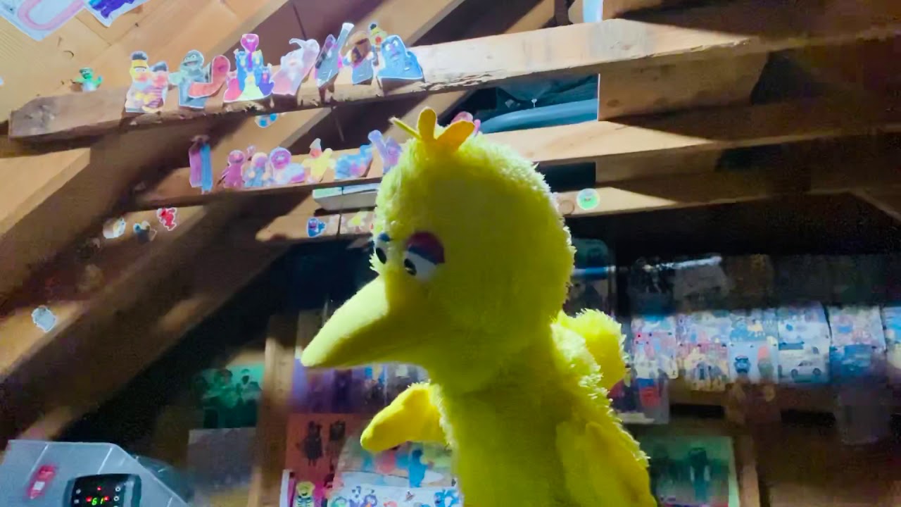 Big Bird Sings Wheels on My Feet - YouTube