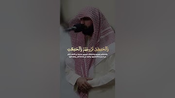 تلاوة جميلة لسورة الأحزاب بصوت الشيخ محمد صالح #اكسبلور #السعودية