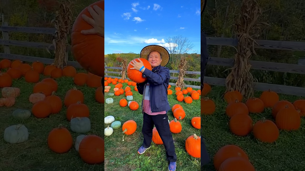 My Korean Parents’ First Apple Picking  