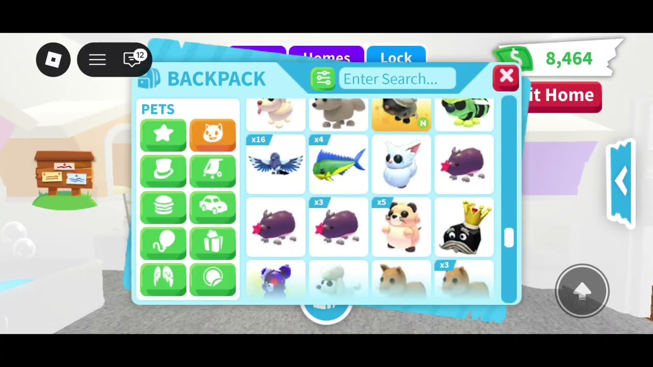Lizzy's pet inventory tour! 