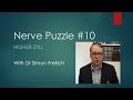Nerve Puzzle 10