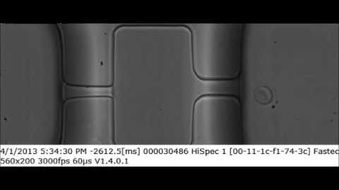 Electrical measurement of red blood cell deformability on a microfluidic device