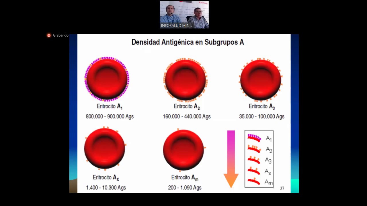DISCREPANCIAS DE GRUPO SANGUÍNEO GLOBULAR Y SERICO