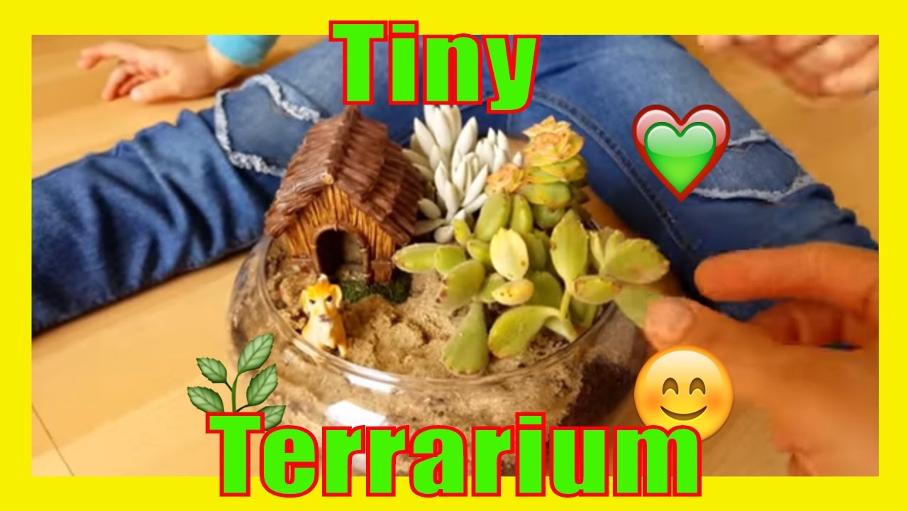 MAKING A SUCCULENT TERRARIUM AND HOME DEPOT TRIP garden for kids diy