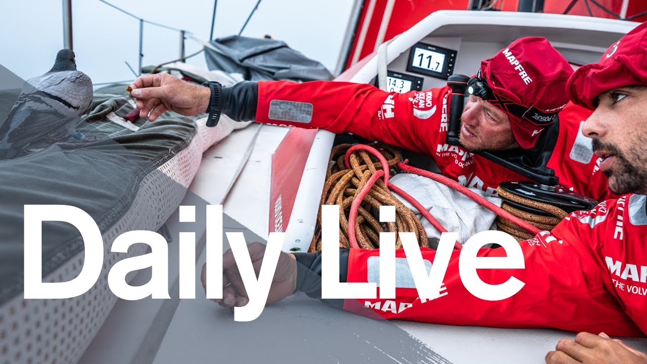 Daily Live – Monday 28 May | Volvo Ocean Race