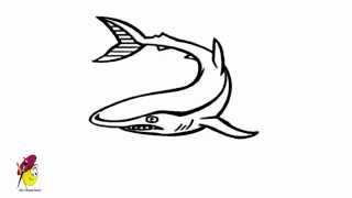 shark scary easy drawing draw