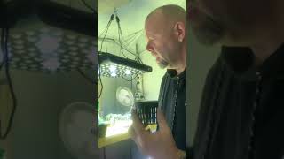 Educational purposes only Medical marijuana how to transfer clones to veg table