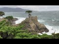 Stormy Day at the Lone Cypress, Pebble Beach