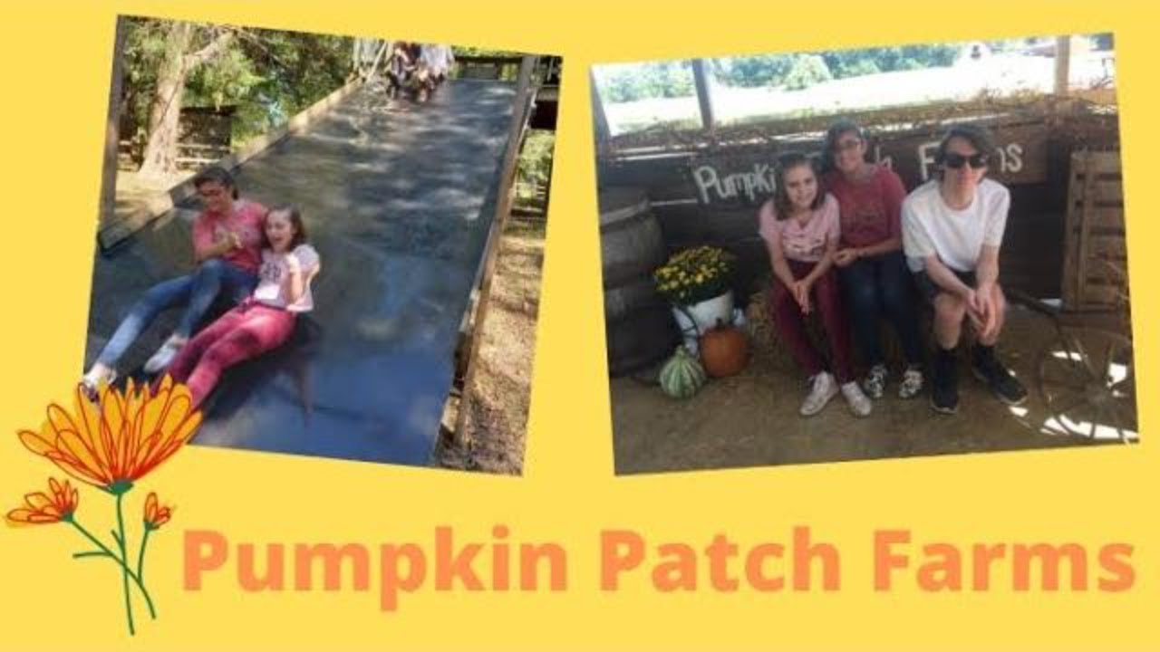We had fun at the Pumpkin Patch!! Blue Mountain Mississippi Pumpkin