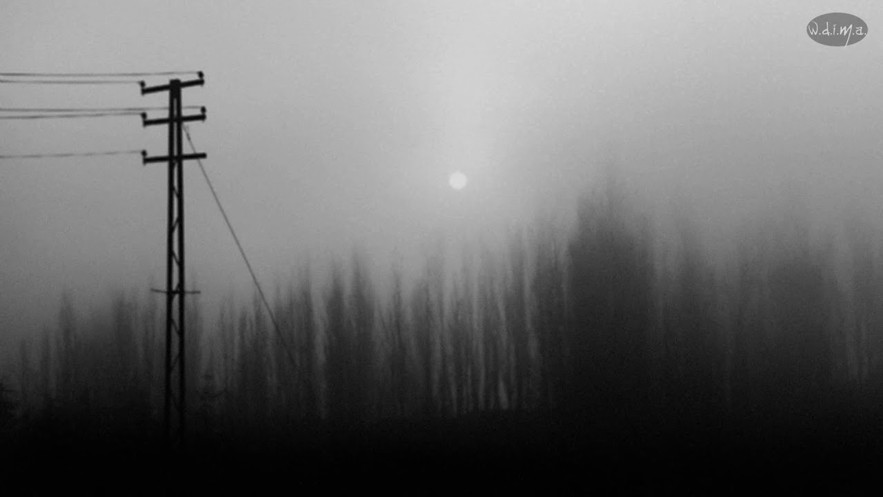 The Silence Of A Whisper - Long Forgotten