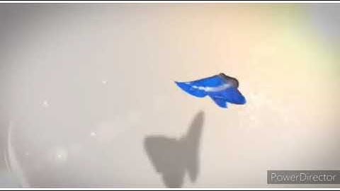 Grade :IV     subject : EVS