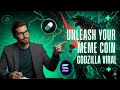 How We Made a Meme Coin Go Viral (Behind The Scenes)