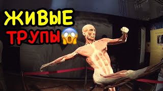 VLOG: ЖИВЫЕ ТРУПЫ!😱