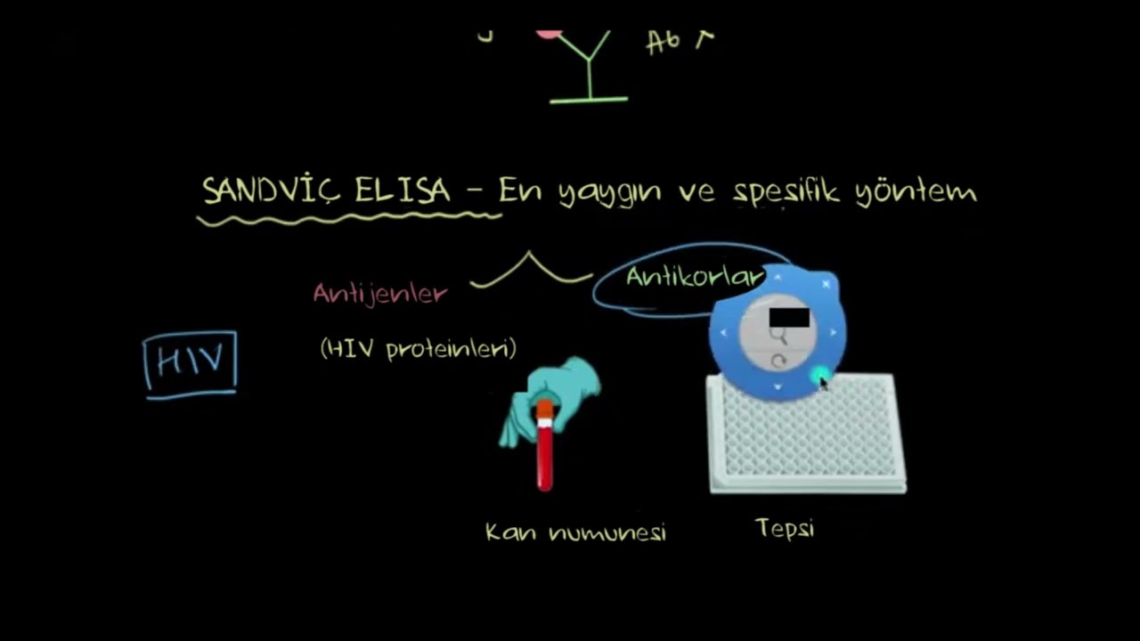 ELISA Testi (Biyoloji)