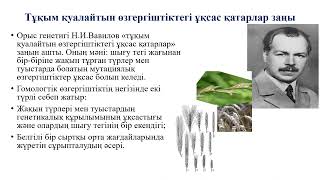 Ерлі-зайыптылардың қатысуымен орыс порносын қараңыз.