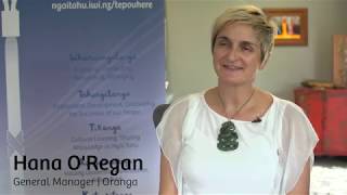 Te Pou Here - Iwi Capability
