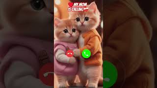 Download Lagu #cat #funnycallringto #cutecat #ringintone #funny #cute #catlover #ringtone #smartphone #music MP3