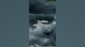 Mastering Behavior with Operant Conditioning#facts #behaviour #shorts