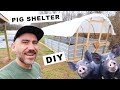 How to BUILD a PIG SHELTER (Small Scale) + COST