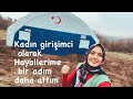 4 SAATTE HAYALLER TAMAM / HAYVANLARIM İÇİN ÇADIR YAPTIRDIM