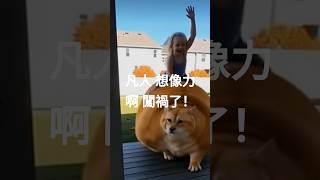 《啊!闖禍了?!孩子夢中騎大貓暴走客廳!》#夢境大冒險 #孩子的想像力 #大貓坐騎 #客廳災難現場 #親子動畫風 #可愛闖禍記 #想像力無極限