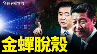 溯源報告重拿輕放?習近平搶了筆桿子,馬上演一齣金蟬脫殼。中國人生的計畫,死的隨機。|薇羽看世間 第358期 20210824