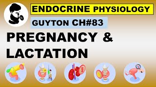 Ch#83 Physiology Guyton | Pregnancy and Lactation | Reproductive Physiology | Dr Asif Lectures