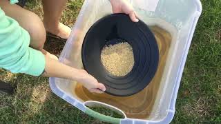 Gold Panning, Gold Pay Dirt