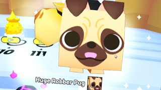 I HATCHED HUGE ROBBER PUG IN PET SIM 99?!!