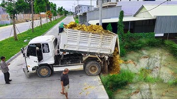Be Wactful Started A New Project!Truck Loading Soil Flood Area,Driver Skills Dozer D31 Pushing Soil