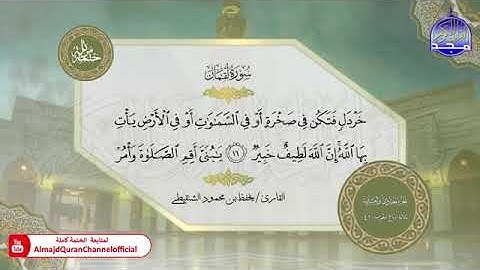 سورة لقمان القارئ يحفظ الشنقيطي