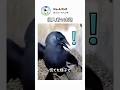 怒った妻は夫でも怖がらせます