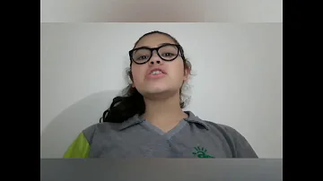 Quais são os aspectos culturais da região sul?