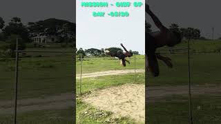 MISSION OP#highjump#tricking #runner#highlights#op#viral #viralvideo#oisf#trending #runner#longjump